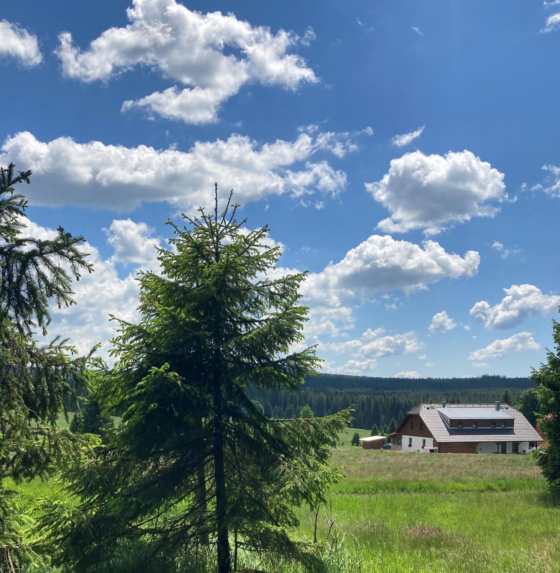 Apartmany V Chalupe Nad Modravou Modrava Buitenkant foto