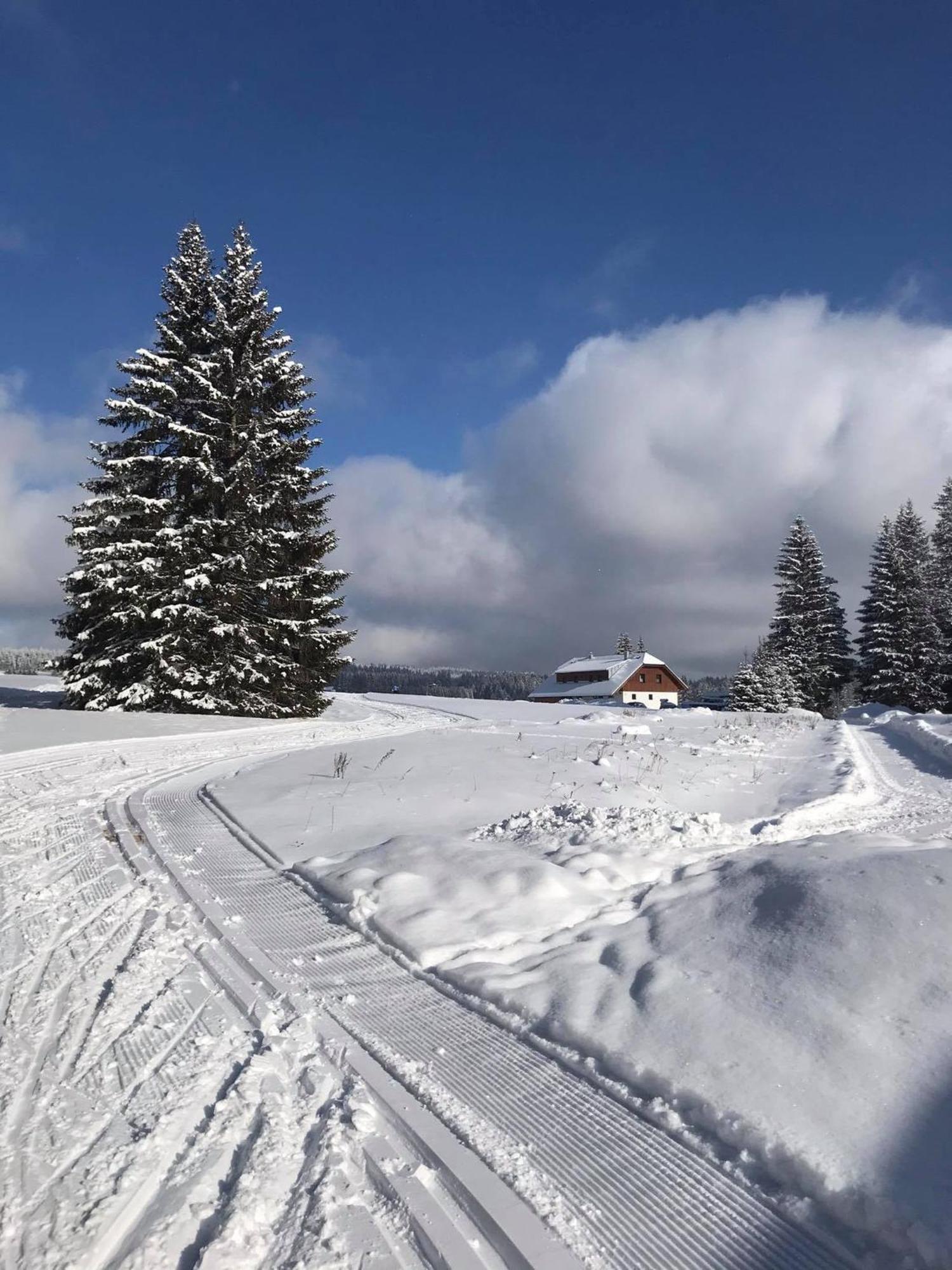 Apartmany V Chalupe Nad Modravou Modrava Buitenkant foto